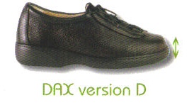 dax-version-d